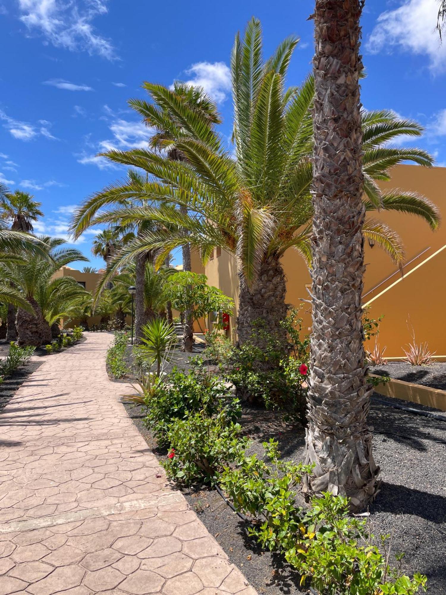 شقة B-Rent Casa Angela Pool View كوراليهو المظهر الخارجي الصورة
